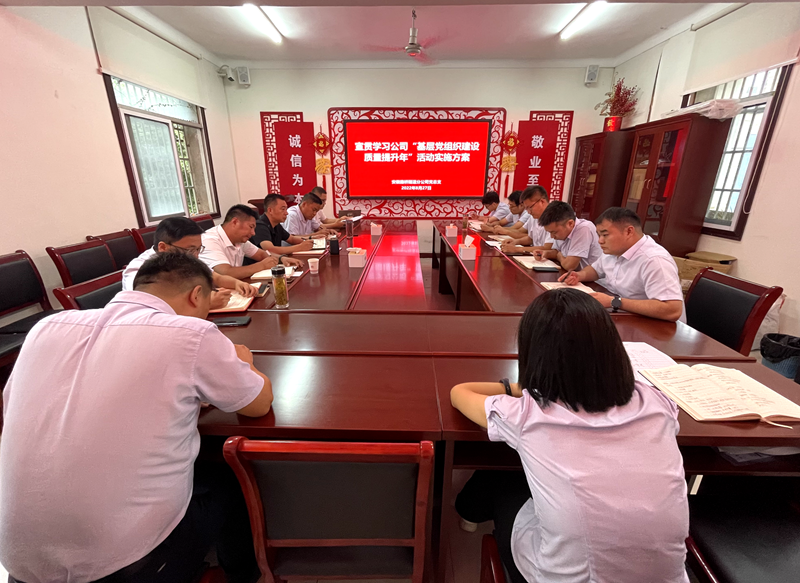 隧道分公司召開“基層黨組織建設(shè)質(zhì)量提升年”活動(dòng)動(dòng)員部署會